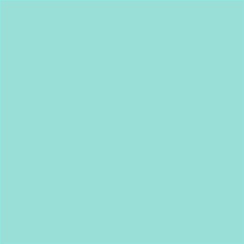 PINTURA PLASTICA MATE JUNOPROF CALIDAD SUPERIOR (OFERTA) COLOR S 0530-B60G