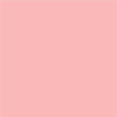 PINTURA PLASTICA MATE JUNOPROF CALIDAD SUPERIOR (OFERTA) COLOR S 0530-R
