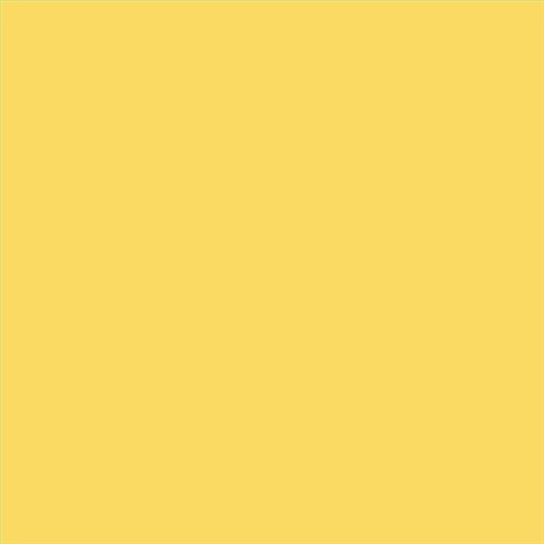 PINTURA PLASTICA MATE JUNOPROF CALIDAD SUPERIOR (OFERTA) COLOR S 0550-Y