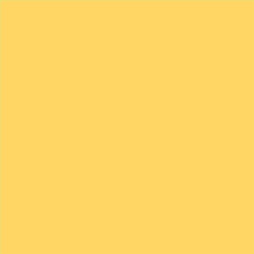 PINTURA PLASTICA MATE JUNOPROF CALIDAD SUPERIOR (OFERTA) COLOR S 0550-Y10R