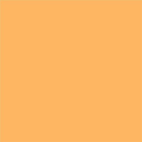 PINTURA PLASTICA MATE JUNOPROF CALIDAD SUPERIOR (OFERTA) COLOR S 0550-Y30R