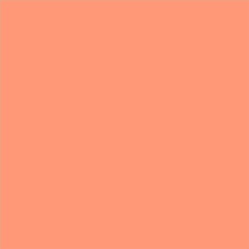 PINTURA PLASTICA MATE JUNOPROF CALIDAD SUPERIOR (OFERTA) COLOR S 0550-Y70R