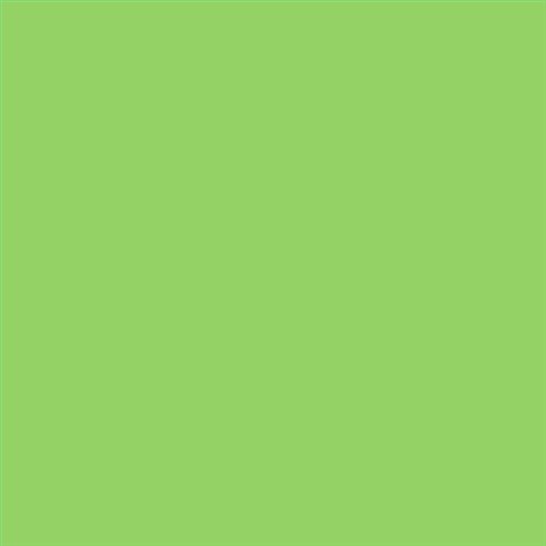 PINTURA PLASTICA MATE JUNOPROF CALIDAD SUPERIOR (OFERTA) COLOR S 0560-G30Y