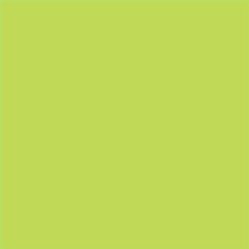 PINTURA PLASTICA MATE JUNOPROF CALIDAD SUPERIOR (OFERTA) COLOR S 0560-G50Y