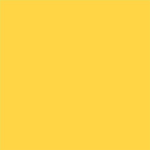 PINTURA PLASTICA MATE JUNOPROF CALIDAD SUPERIOR (OFERTA) COLOR S 0560-Y