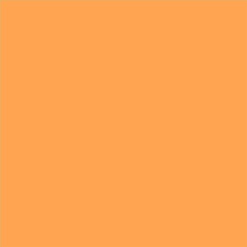PINTURA PLASTICA MATE JUNOPROF CALIDAD SUPERIOR (OFERTA) COLOR S 0560-Y40R
