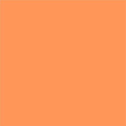PINTURA PLASTICA MATE JUNOPROF CALIDAD SUPERIOR (OFERTA) COLOR S 0560-Y50R
