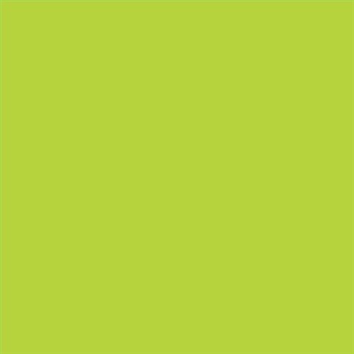 PINTURA PLASTICA MATE JUNOPROF CALIDAD SUPERIOR (OFERTA) COLOR S 0565-G50Y