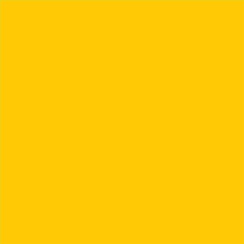 PINTURA PLASTICA MATE JUNOPROF CALIDAD SUPERIOR (OFERTA) COLOR S 0570-Y10R