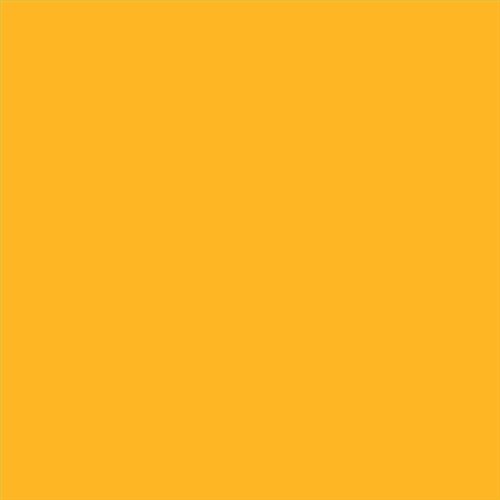PINTURA PLASTICA MATE JUNOPROF CALIDAD SUPERIOR (OFERTA) COLOR S 0570-Y20R-GL