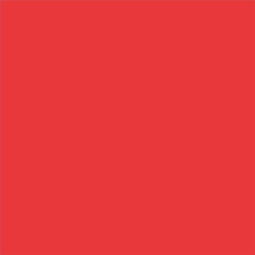 PINTURA PLASTICA MATE JUNOPROF CALIDAD SUPERIOR (OFERTA) COLOR S 0580-Y90R-GL