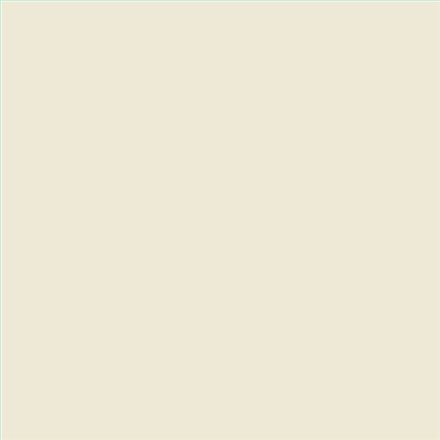 PINTURA PLASTICA MATE JUNOPROF CALIDAD SUPERIOR (OFERTA) COLOR S 0804-Y10R