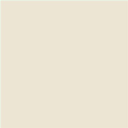 PINTURA PLASTICA MATE JUNOPROF CALIDAD SUPERIOR (OFERTA) COLOR S 0804-Y30R