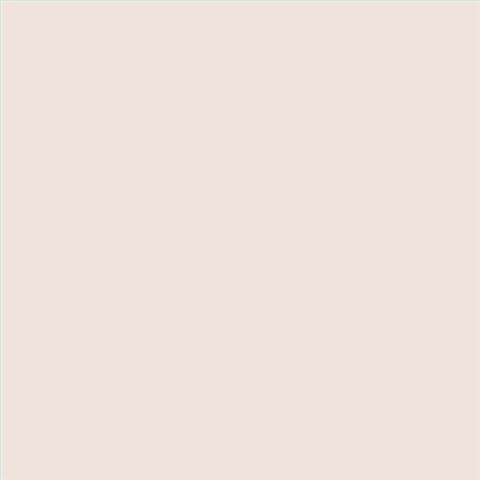 PINTURA PLASTICA MATE JUNOPROF CALIDAD SUPERIOR (OFERTA) COLOR S 0804-Y70R