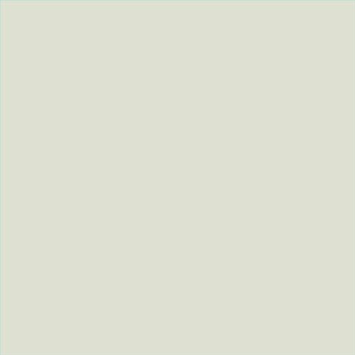 PINTURA PLASTICA MATE JUNOPROF CALIDAD SUPERIOR (OFERTA) COLOR S 1005-G60Y