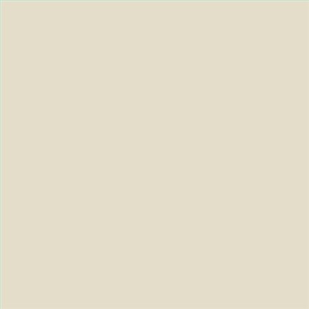 PINTURA PLASTICA MATE JUNOPROF CALIDAD SUPERIOR (OFERTA) COLOR S 1005-Y10R