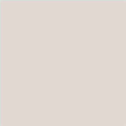 PINTURA PLASTICA MATE JUNOPROF CALIDAD SUPERIOR (OFERTA) COLOR S 1005-Y90R
