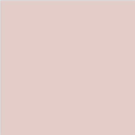 PINTURA PLASTICA MATE JUNOPROF CALIDAD SUPERIOR (OFERTA) COLOR S 1010-R