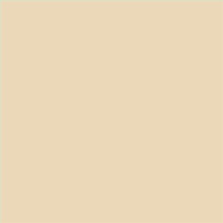 PINTURA PLASTICA MATE JUNOPROF CALIDAD SUPERIOR (OFERTA) COLOR S 1010-Y20R