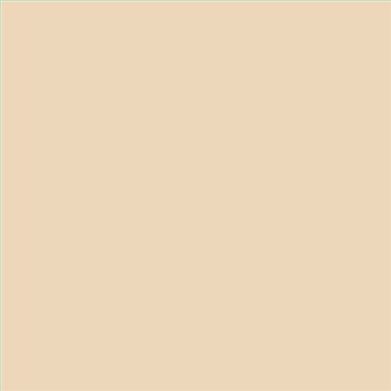 PINTURA PLASTICA MATE JUNOPROF CALIDAD SUPERIOR (OFERTA) COLOR S 1010-Y30R