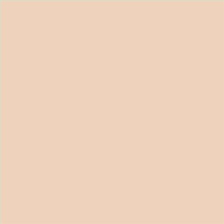 PINTURA PLASTICA MATE JUNOPROF CALIDAD SUPERIOR (OFERTA) COLOR S 1010-Y50R