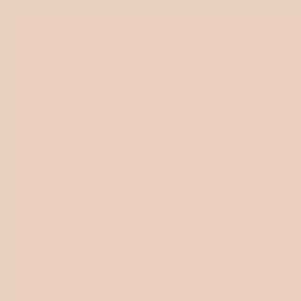 PINTURA PLASTICA MATE JUNOPROF CALIDAD SUPERIOR (OFERTA) COLOR S 1010-Y60R