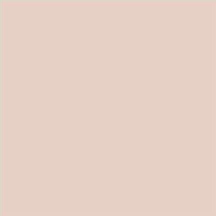 PINTURA PLASTICA MATE JUNOPROF CALIDAD SUPERIOR (OFERTA) COLOR S 1010-Y80R