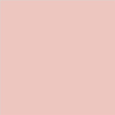 PINTURA PLASTICA MATE JUNOPROF CALIDAD SUPERIOR (OFERTA) COLOR S 1015-Y90R