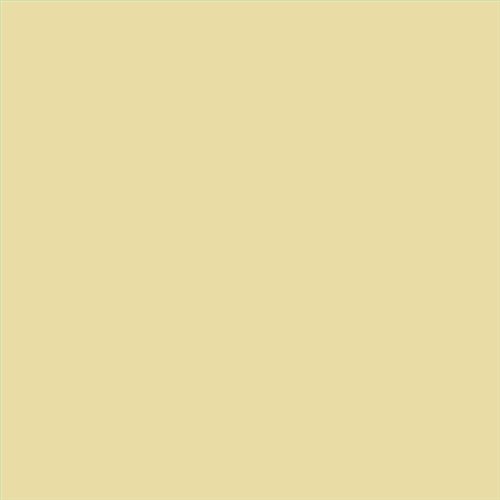 PINTURA PLASTICA MATE JUNOPROF CALIDAD SUPERIOR (OFERTA) COLOR S 1020-G90Y