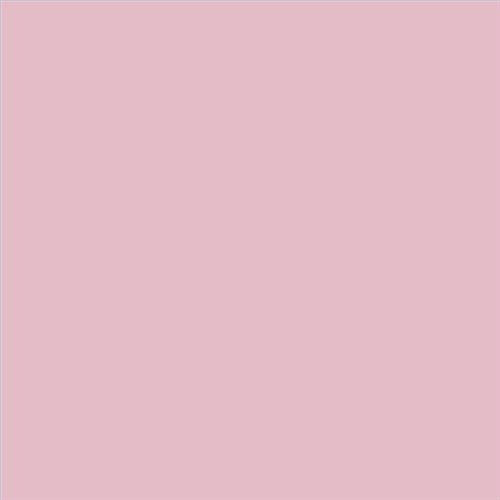 PINTURA PLASTICA MATE JUNOPROF CALIDAD SUPERIOR (OFERTA) COLOR S 1020-R20B
