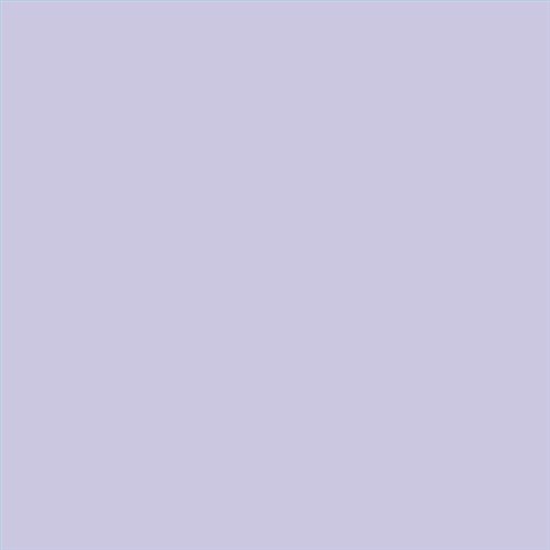 PINTURA PLASTICA MATE JUNOPROF CALIDAD SUPERIOR (OFERTA) COLOR S 1020-R60B