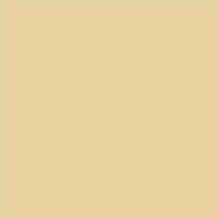 PINTURA PLASTICA MATE JUNOPROF CALIDAD SUPERIOR (OFERTA) COLOR S 1020-Y10R
