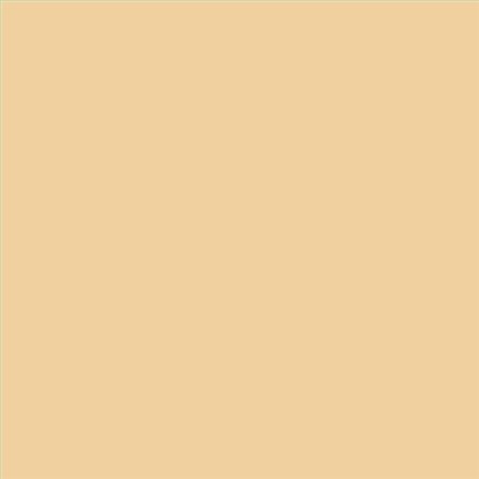 PINTURA PLASTICA MATE JUNOPROF CALIDAD SUPERIOR (OFERTA) COLOR S 1020-Y20R