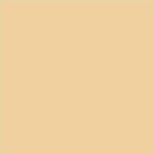 PINTURA PLASTICA MATE JUNOPROF CALIDAD SUPERIOR (OFERTA) COLOR S 1020-Y20R