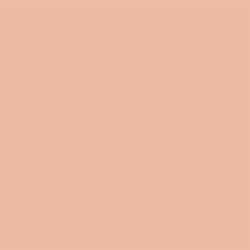 PINTURA PLASTICA MATE JUNOPROF CALIDAD SUPERIOR (OFERTA) COLOR S 1020-Y60R