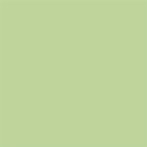 PINTURA PLASTICA MATE JUNOPROF CALIDAD SUPERIOR (OFERTA) COLOR S 1030-G40Y