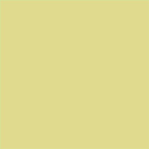 PINTURA PLASTICA MATE JUNOPROF CALIDAD SUPERIOR (OFERTA) COLOR S 1030-G80Y