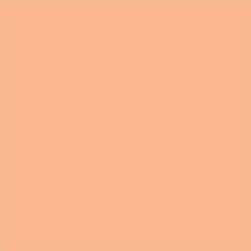 PINTURA PLASTICA MATE JUNOPROF CALIDAD SUPERIOR (OFERTA) COLOR S 1030-Y50R