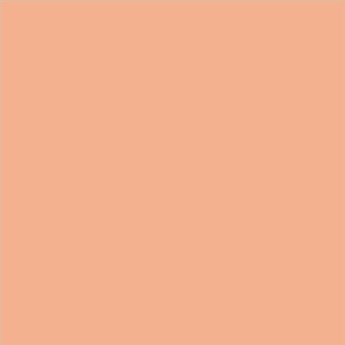 PINTURA PLASTICA MATE JUNOPROF CALIDAD SUPERIOR (OFERTA) COLOR S 1030-Y60R