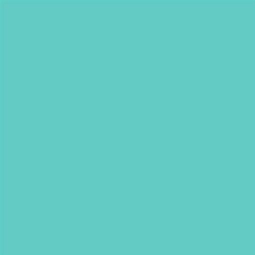 PINTURA PLASTICA MATE JUNOPROF CALIDAD SUPERIOR (OFERTA) COLOR S 1040-B60G