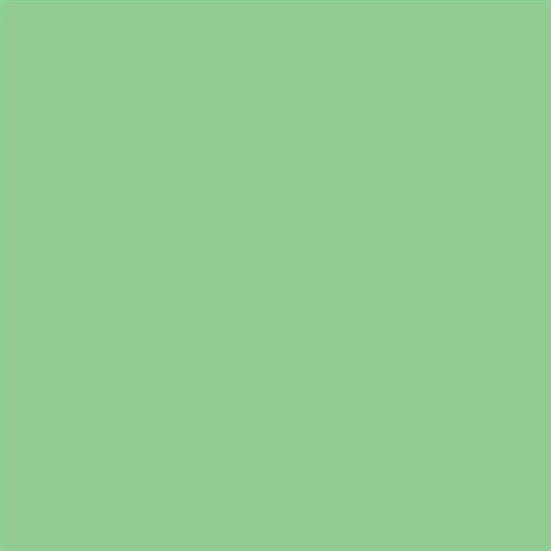 PINTURA PLASTICA MATE JUNOPROF CALIDAD SUPERIOR (OFERTA) COLOR S 1040-G20Y