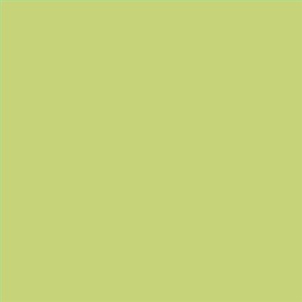 PINTURA PLASTICA MATE JUNOPROF CALIDAD SUPERIOR (OFERTA) COLOR S 1040-G60Y