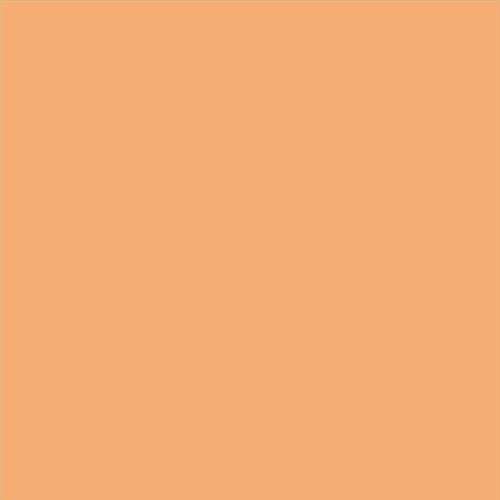 PINTURA PLASTICA MATE JUNOPROF CALIDAD SUPERIOR (OFERTA) COLOR S 1040-Y40R