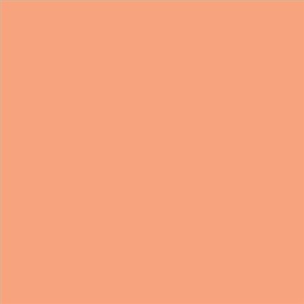 PINTURA PLASTICA MATE JUNOPROF CALIDAD SUPERIOR (OFERTA) COLOR S 1040-Y60R