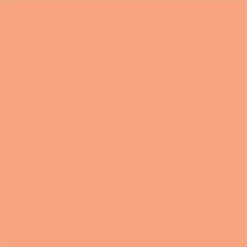 PINTURA PLASTICA MATE JUNOPROF CALIDAD SUPERIOR (OFERTA) COLOR S 1040-Y60R