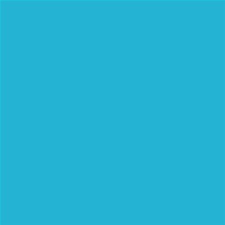PINTURA PLASTICA MATE JUNOPROF CALIDAD SUPERIOR (OFERTA) COLOR S 1050-B10G