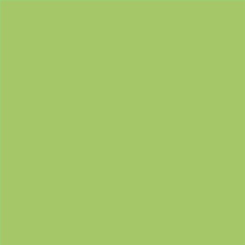 PINTURA PLASTICA MATE JUNOPROF CALIDAD SUPERIOR (OFERTA) COLOR S 1050-G40Y