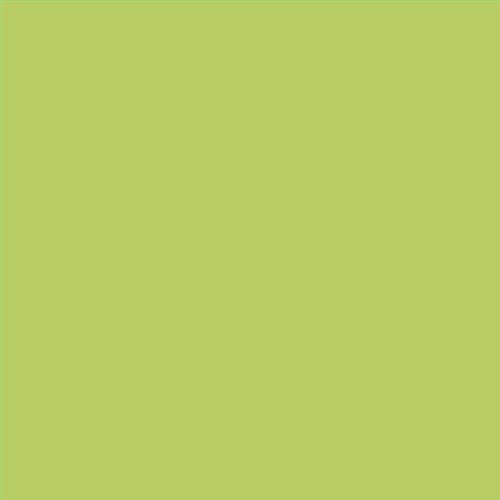 PINTURA PLASTICA MATE JUNOPROF CALIDAD SUPERIOR (OFERTA) COLOR S 1050-G50Y