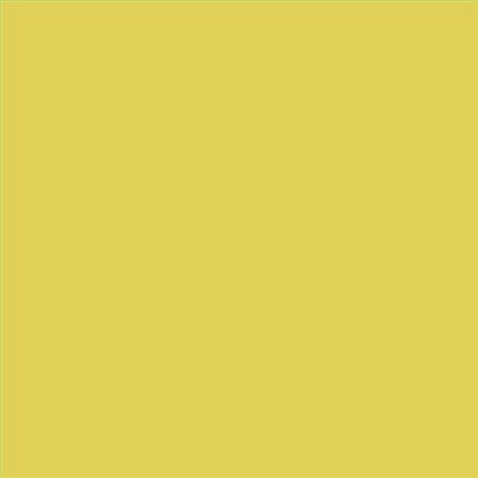 PINTURA PLASTICA MATE JUNOPROF CALIDAD SUPERIOR (OFERTA) COLOR S 1050-G90Y
