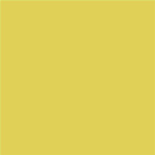 PINTURA PLASTICA MATE JUNOPROF CALIDAD SUPERIOR (OFERTA) COLOR S 1050-G90Y